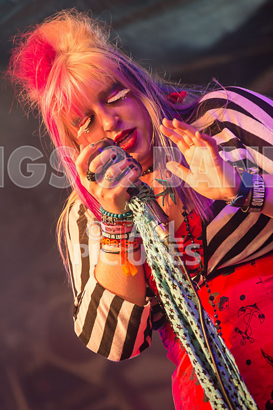 Static Alice-375 - STATIC ALICE