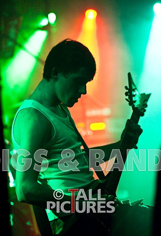 Brutus Stonefist-110 - BRUTUS STONEFIST at RoA-5