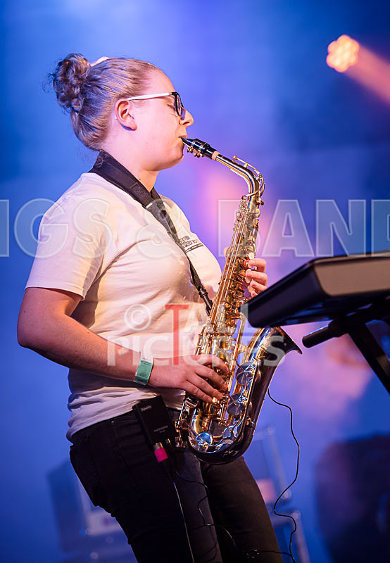 Honest Crooks-154 - HONEST CROOKS