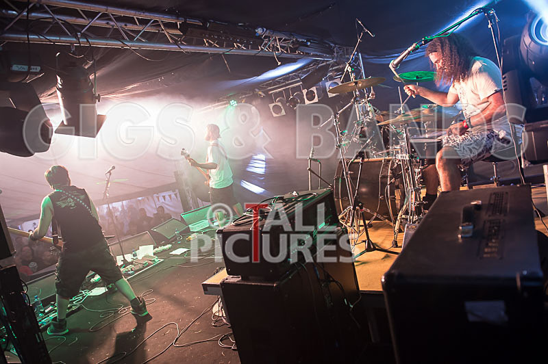 Demise of Sanity-120 - DEMISE OF SANITY