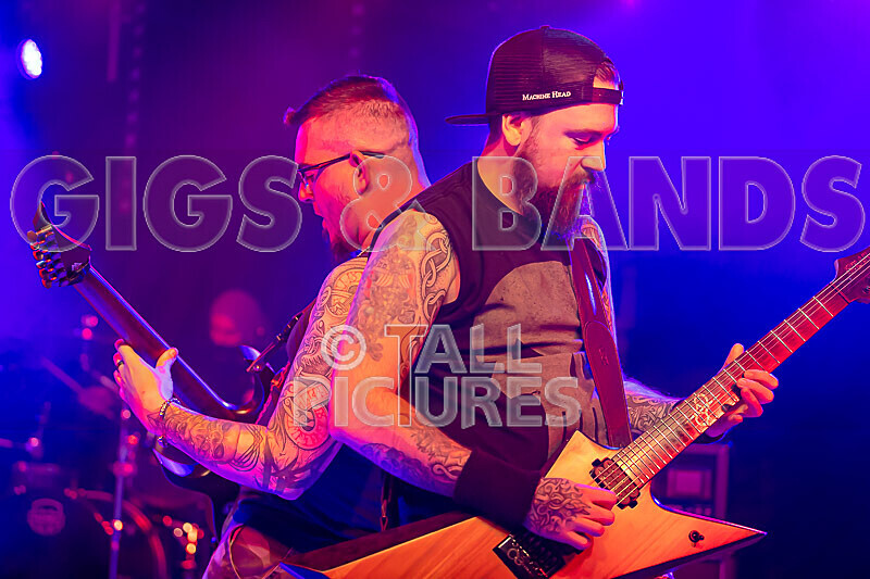 Demise of Sanity-250 - DEMISE OF SANITY