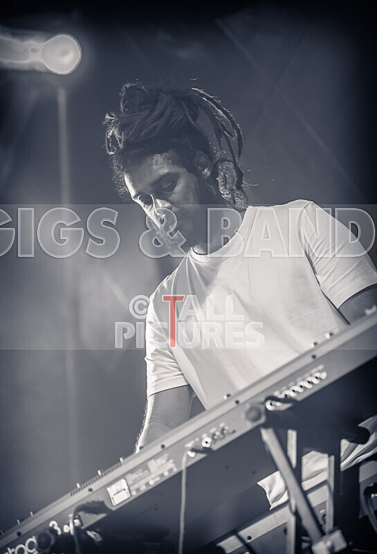 Hollie Cook-29 - HOLLIE COOK