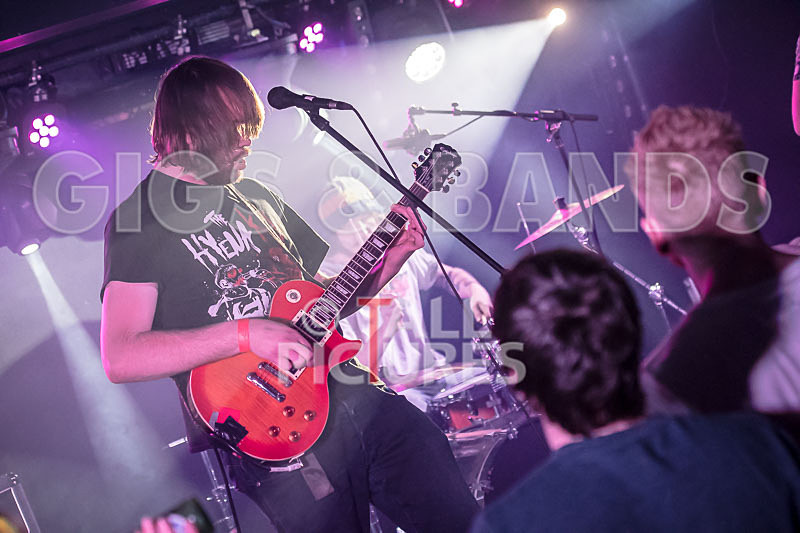 To the Woods-423 - TO THE WOODS