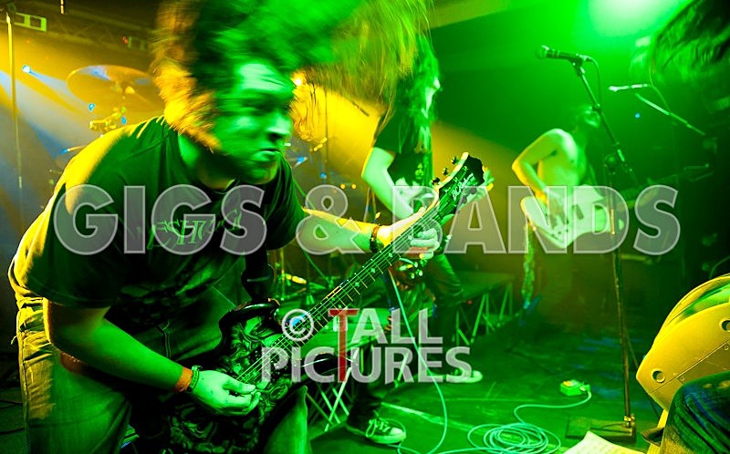 Salems Lot-63 - SALEM'S LOT at RoA-9