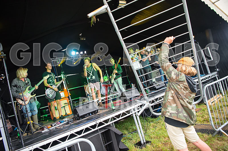 Lizzard Channel-29 - LIZZARD CHANNEL