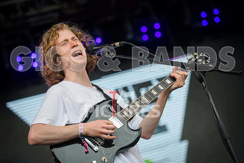 Spring King-2 - SPRING KING