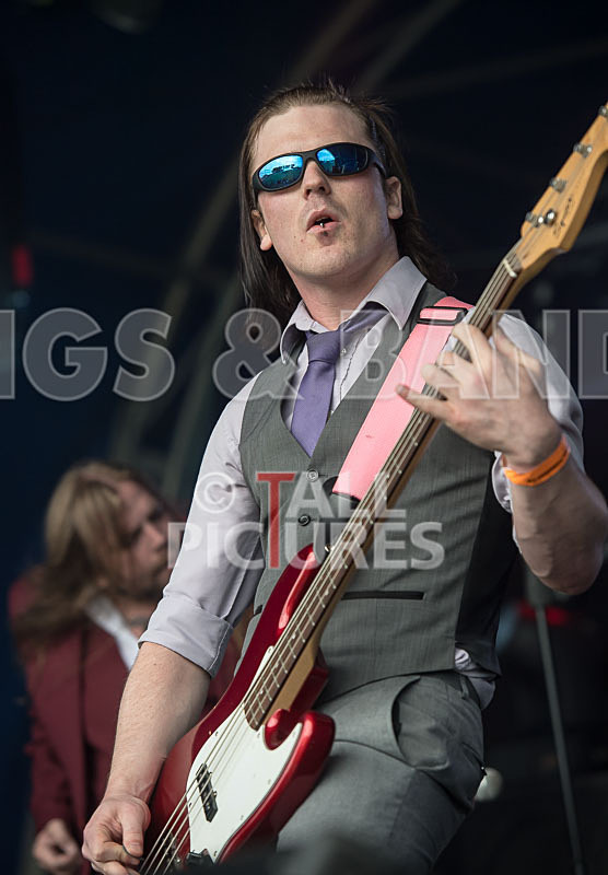 Stone Em All-310 - STONE EM ALL