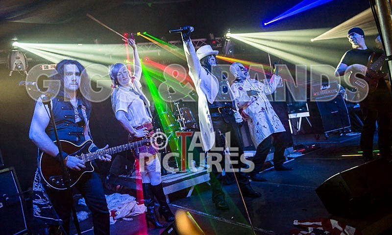 Gallus Cooper-78 - GALLUS COOPER