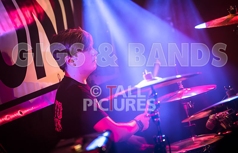 Cosmic Fish-35 - COSMIC FISH