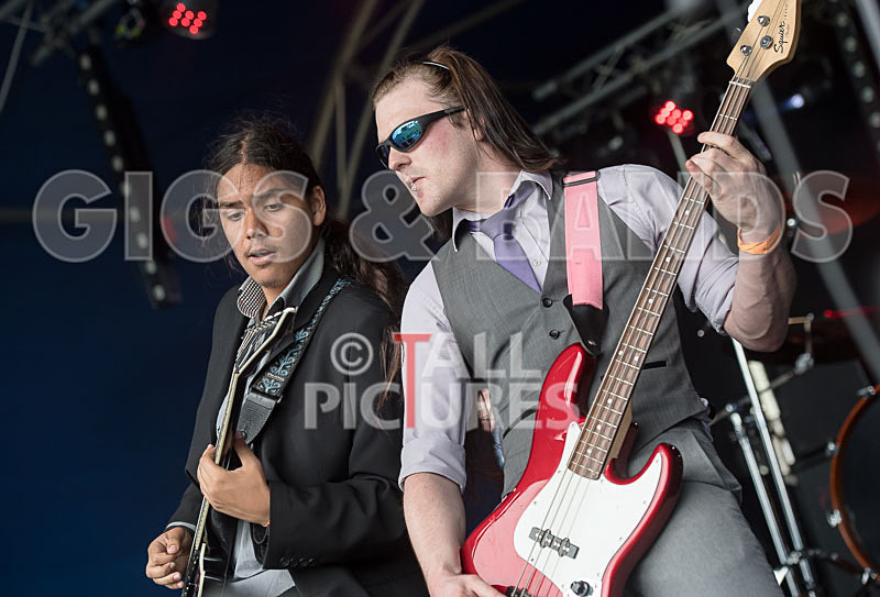 Stone Em All-307 - STONE EM ALL