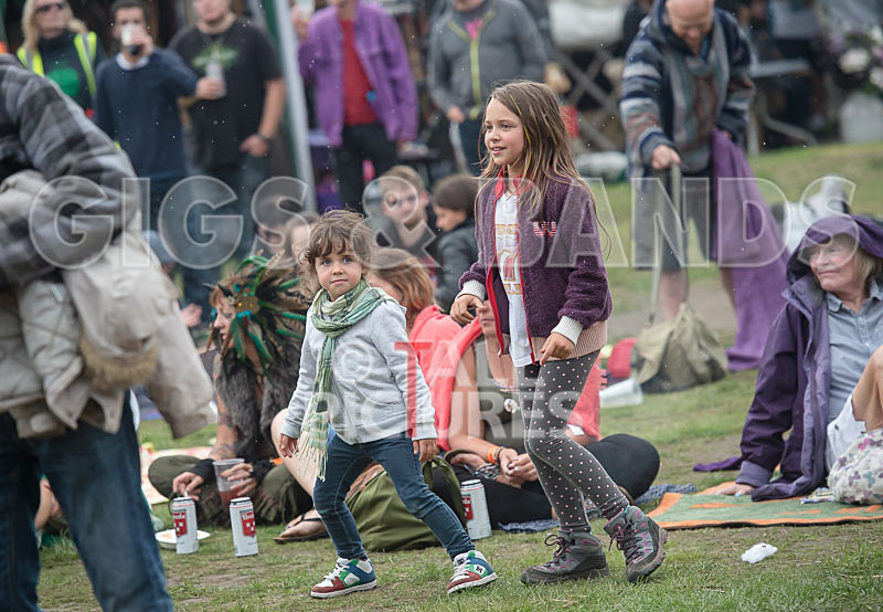 Vale Earth Fair 2015_Atmosphere-4 - VALE EARTH FAIR 2015_THE ATMOSPHERE