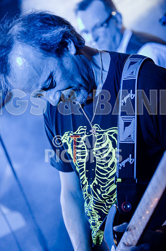 Elysium-330 - ELYSIUM