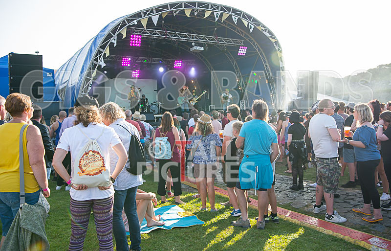 Vale Earth Fair 2017_SCENE-151 - VALE EARTH FAIR 2017_THE SCENE