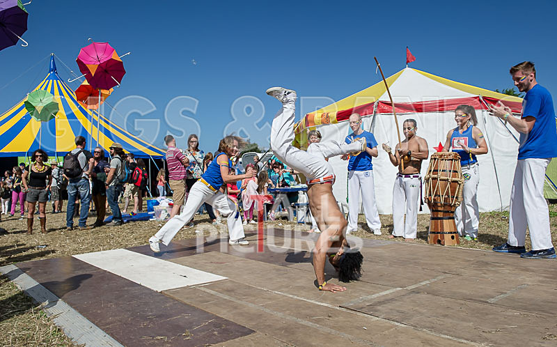 Jersey Live 2014_The Atmosphere-190 - JERSEY LIVE 2014_THE ATMOSPHERE_SUNDAY