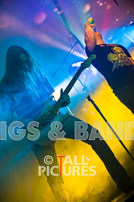 Greenman_Music-299 - GREENMAN CHAOS FESTIVAL 2008 BANDS