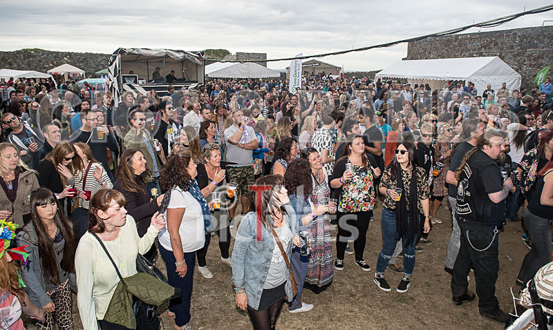 Vale Earth Fair_Atmosphere_2014-82 - VALE EARTH FAIR 2014 - THE ATMOSPHERE