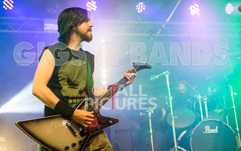 Chaos 2013_Demise of Sanity-13 - DEMISE OF SANITY