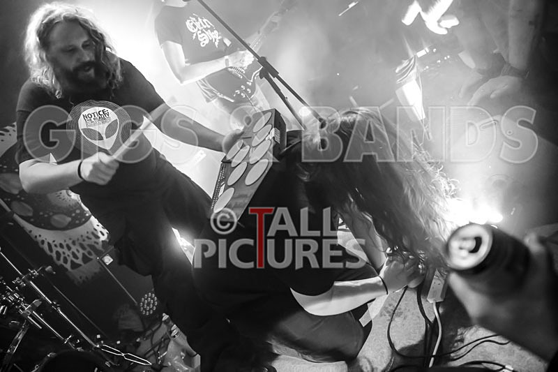 Mechanical Lobster-36 - MECHANICAL LOBSTER