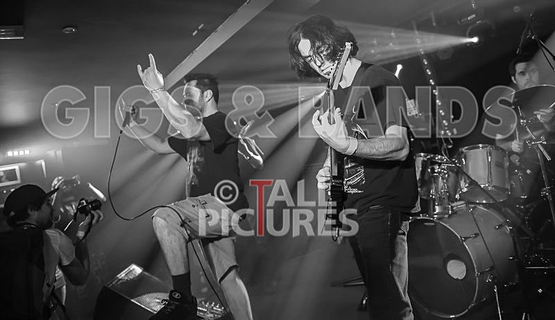 Masticated-14 - MASTICATED