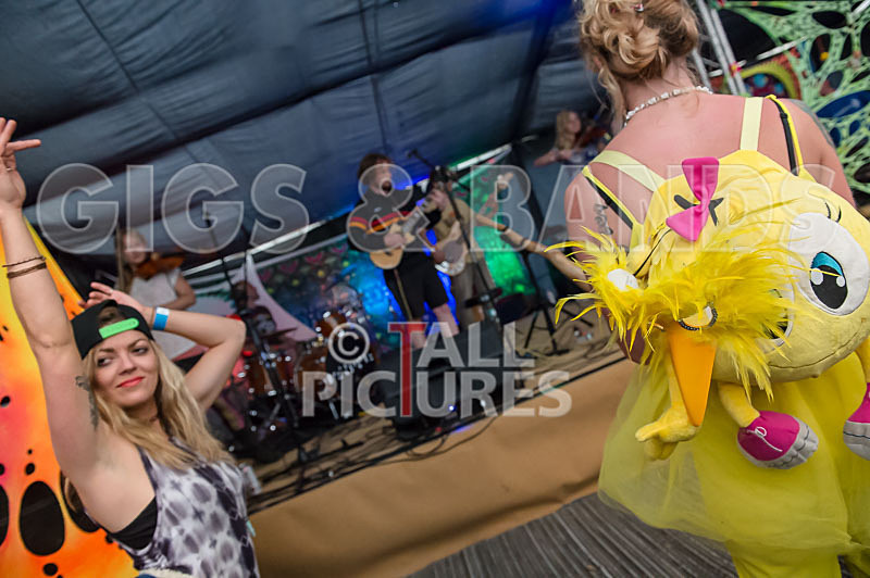 The Peace Tent_2015-6 - CHAOS PEACE TENT 2015