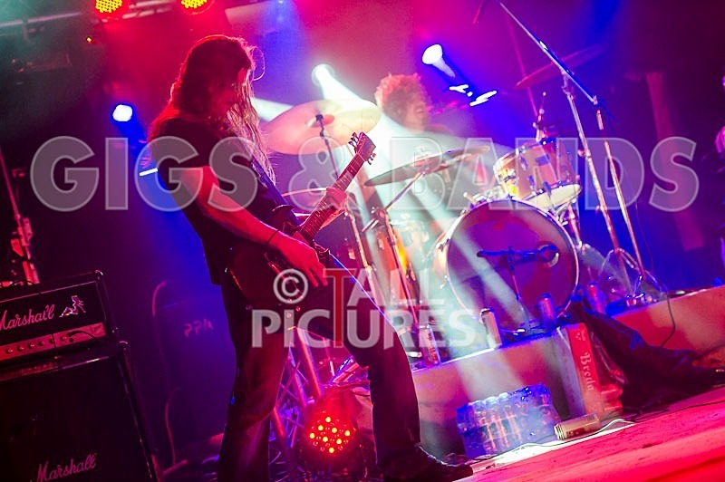 Viking Skull-29 - VIKING SKULL