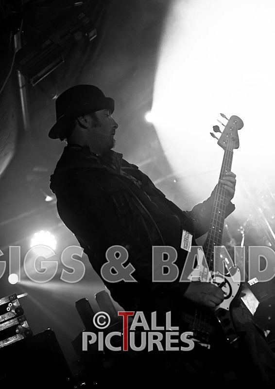 Spunge-12 - [spunge]