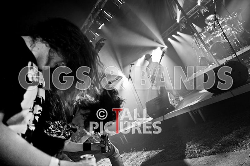 Peppered Ant Legs-73 - PEPPERED ANT LEGS