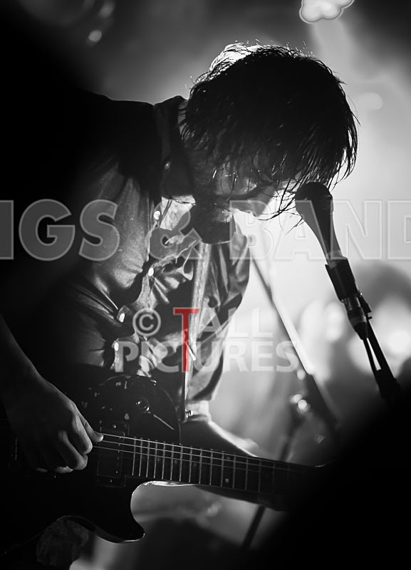The Graveltones-101 - THE GRAVELTONES