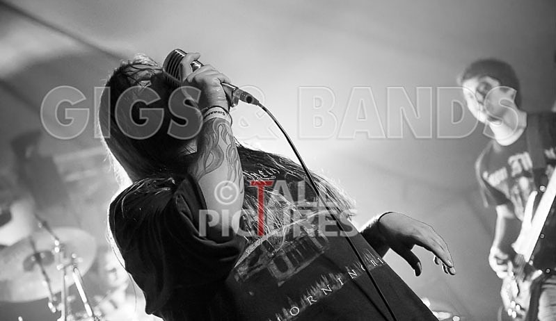 Stone Em All-78 - STONE EM ALL