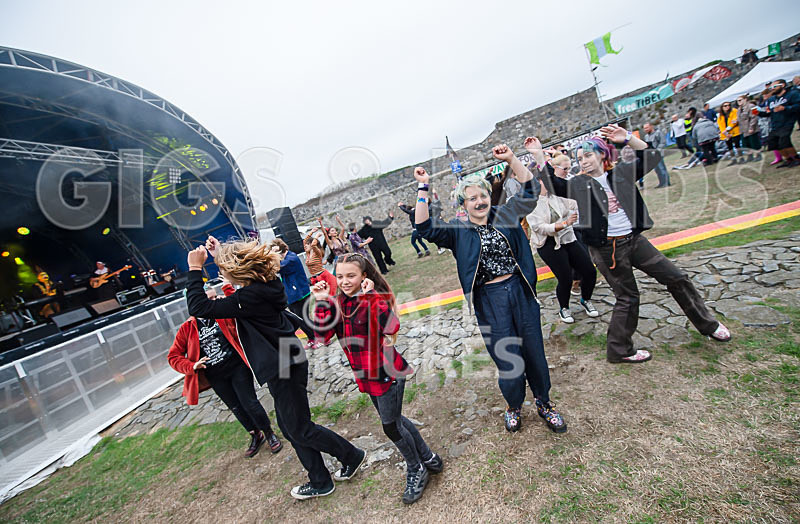 Vale Earth Fair 2018_SCENE-63 - VALE EARTH FAIR 2018_THE SCENE