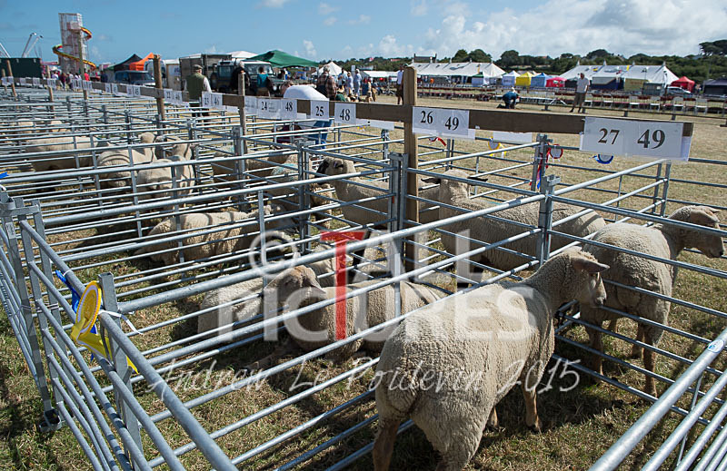 West Show_2014-6 - THE WEST SHOW 2014