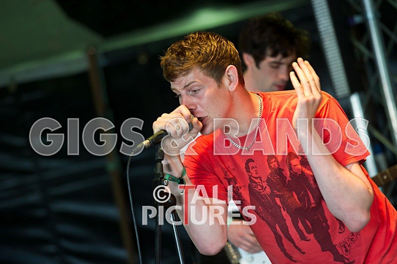 The Hype-3 - THE HYPE