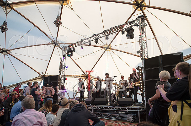 The Selecter-100 - THE SELECTER