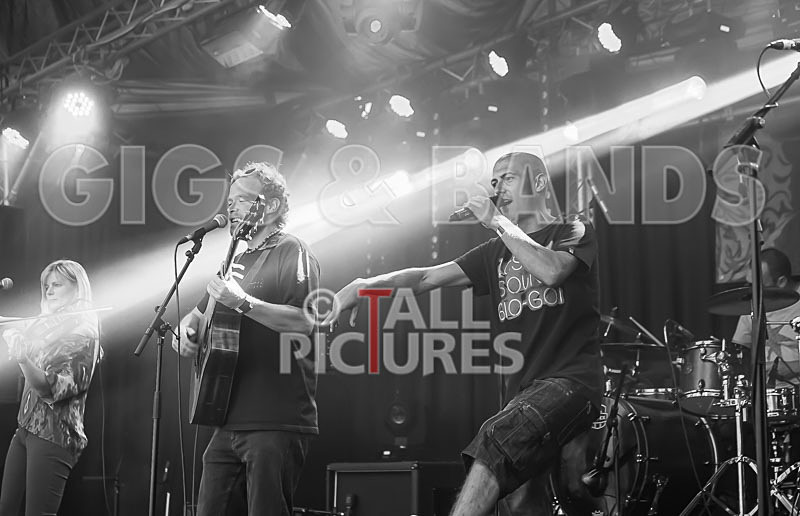 Buffalo Huddleston-82 - BUFFALO HUDDLESTON