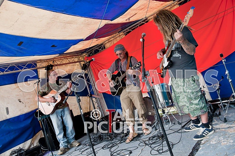 Big Sheep-5 - BIG SHEEP