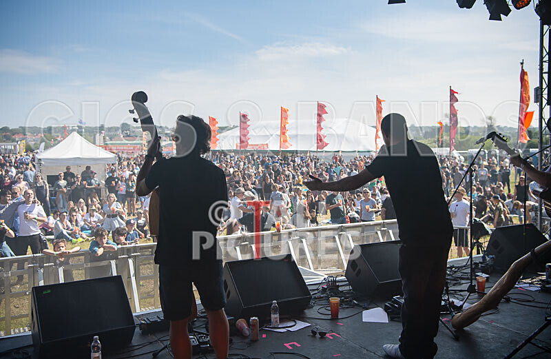 Buffalo Huddleston-724 - BUFFALO HUDDLESTON