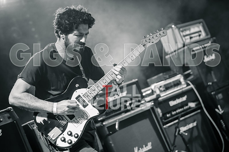 Static Alice-813 - STATIC ALICE