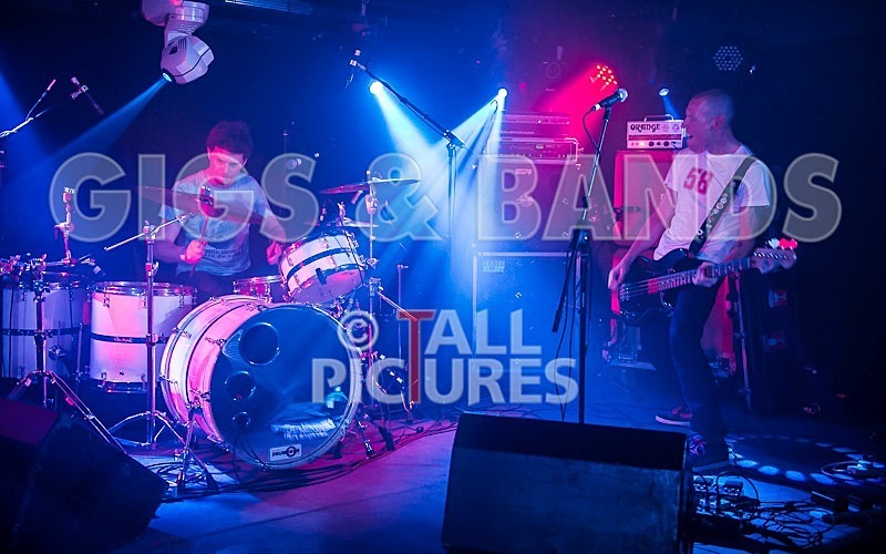 Falenizza Horsepower-98 - FALENIZZAHORSEPOWER