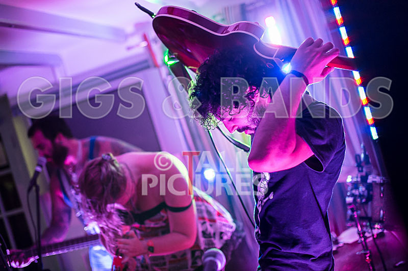 Static Alice-159 - STATIC ALICE