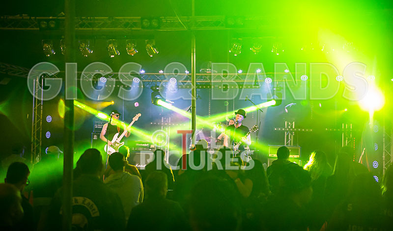 Peppered Ant Legs-233 - PEPPERED ANT LEGS