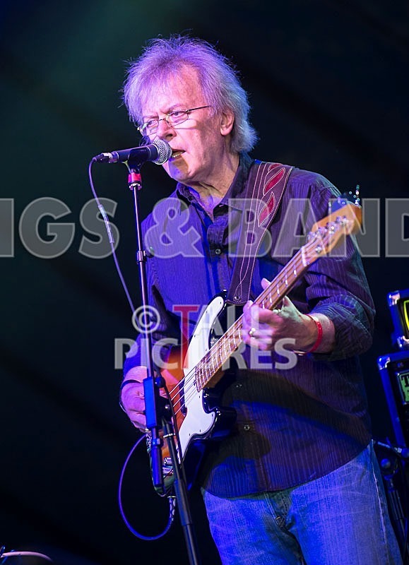 Albert Lee-41 - ALBERT LEE