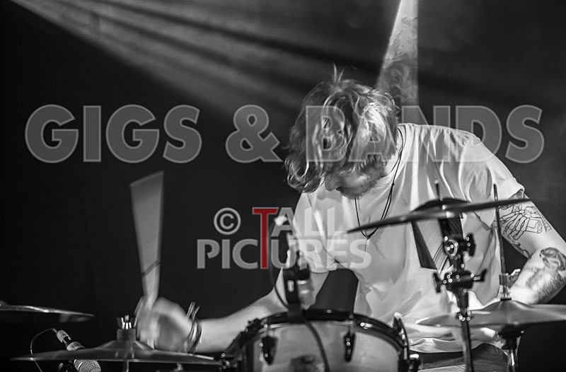 To the Woods-99 - TO THE WOODS