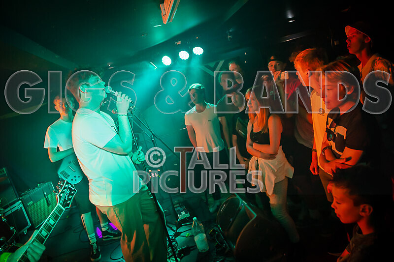 Black Dog-3 - BLACK DOG