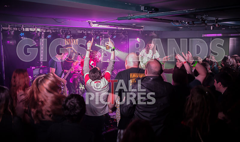 Nirvazon-23 - NIRVAZON