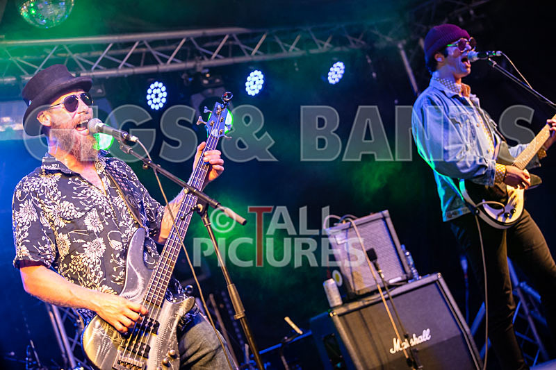 Surfin Birds-63 - SURFIN' BIRDS