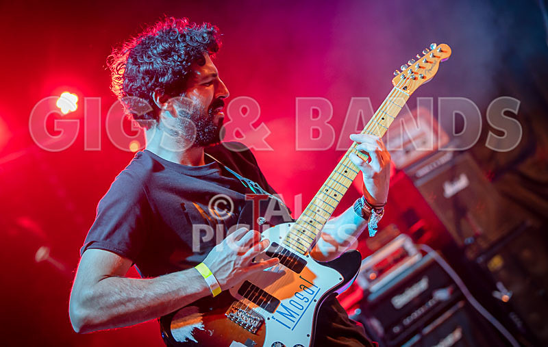 Static Alice-819 - STATIC ALICE