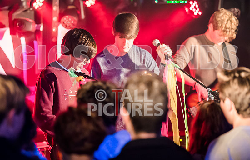 Isle Stone-3 - ISLE STONE