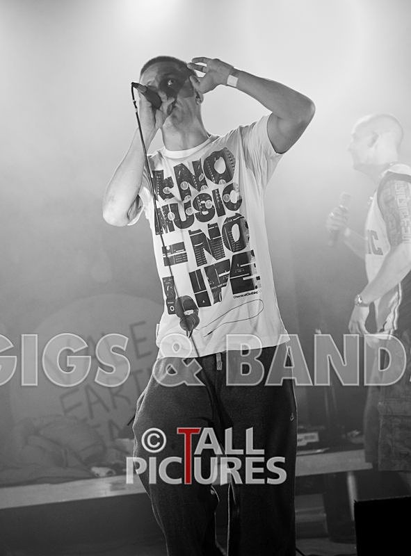 Asylum Seekas-20 - ASYLUM SEEKAS AT IVY CASTLE