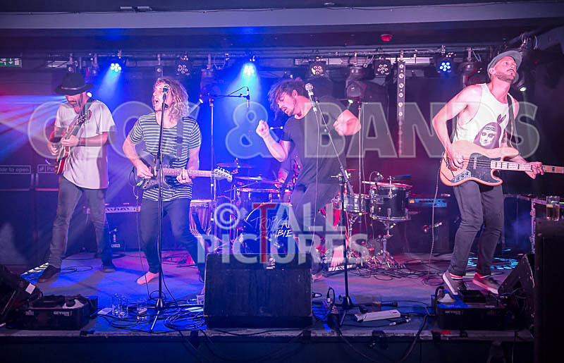 Tropical Zombie-34 - TROPICAL ZOMBIE