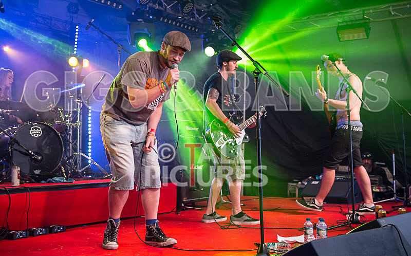 Jawbone-29 - JAWBONE